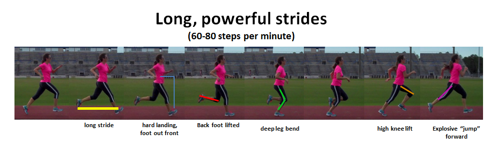Long-Powerful-Strides